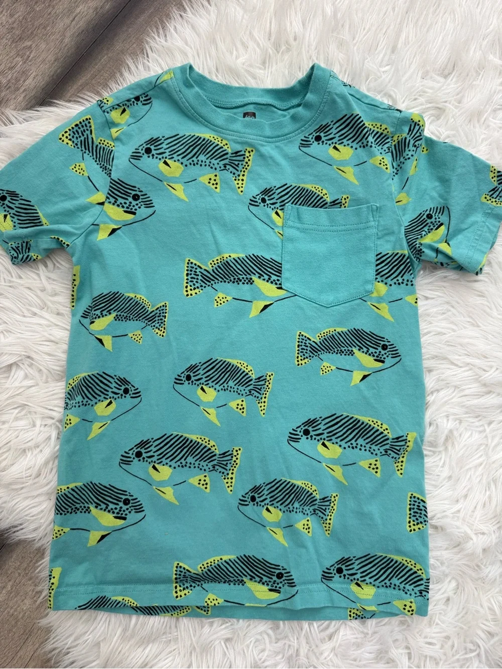 Kids Tony Hawk Black Shorts and Tea Teal Fish Pocket Tee